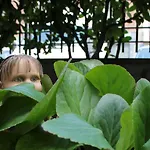 吉亚塔酒店 酒店 3*
